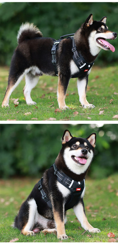 🦮Venta caliente de productos para mascotas en España, 🐕‍🦺Nuevo arnés para perros con cuerda de tracción es adecuado para perros pequeños y medianos 🐕‍🦺Evita que el perro huya repentinamente y se suelte de la cuerda