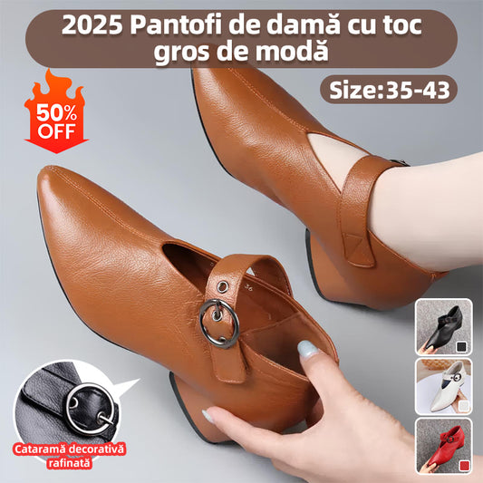 🔥【34-43】2025 de primăvară și toamnă, stil nou, cu toc gros, vârf ascuțit, pantofi de dimensiuni mari