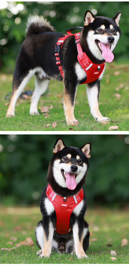 🦮Venta caliente de productos para mascotas en España, 🐕‍🦺Nuevo arnés para perros con cuerda de tracción es adecuado para perros pequeños y medianos 🐕‍🦺Evita que el perro huya repentinamente y se suelte de la cuerda