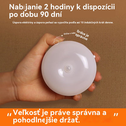 🏡💡【Kúpte 1 a získajte 1 zadarmo】Inteligentné LED svetlo so snímaním ľudského tela, ľahko sa nabíja a je praktické